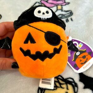 Paxton the pumpkin 🎃